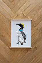 Last inn bildet i Galleri-visningsprogrammet, Northern Diver Plakat
