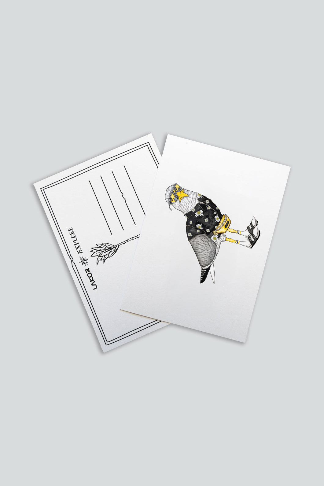 Sightseer Seagull Postkort