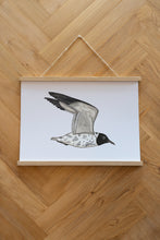 Last inn bildet i Galleri-visningsprogrammet, Tattooed Seagull Plakat
