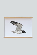 Last inn bildet i Galleri-visningsprogrammet, Tattooed Seagull Plakat
